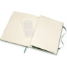 Блокнот MOLESKINE Classic Large, в линейку, зелёный QP060K15