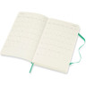 Ежедневник MOLESKINE CLASSIC LARGE (мятный) DHK4612DC3