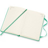 Ежедневник MOLESKINE CLASSIC POCKET (мятный) DHK4612DC2