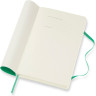 Еженедельник MOLESKINE CLASSIC WKLY POCKET (мятный) DSK4612WN2